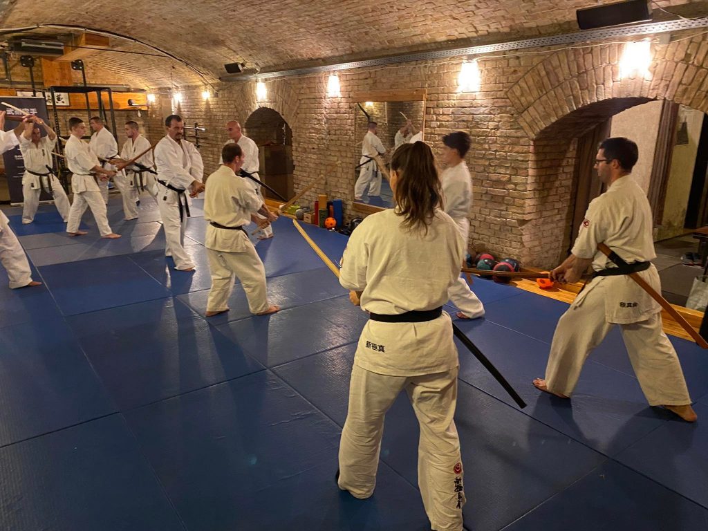 Seishin Karate Klub, Budapest, Bujutcu Karate szeminárium (3)